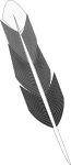 Grayscale Feather